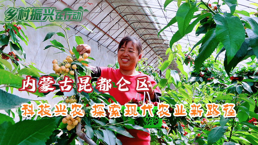 乡村振兴在行动丨内蒙古昆都仑区：科技兴农  探索现代农业新路径